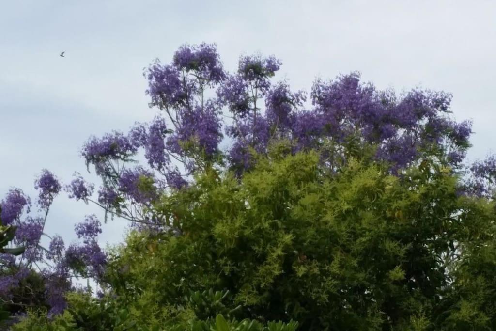 Casetta Jacaranda Genova Esterno foto